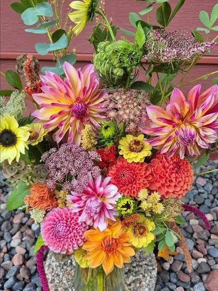 Dahlias, sunflowers, zinnias and Queen Anne's lace in a large arrangement on river rock