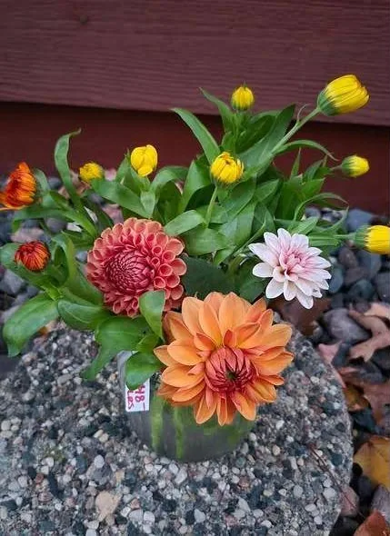 Dahlias and calendula in a small vase on a stone base