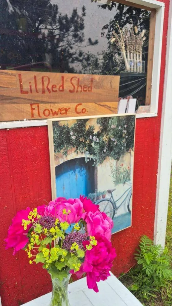 The red shed's front window with a hand-lettered LilRedShedFlowerCo sign and a vase of peonies