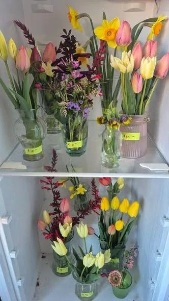 Tulips and daffodils in priced vases on the shed shelves