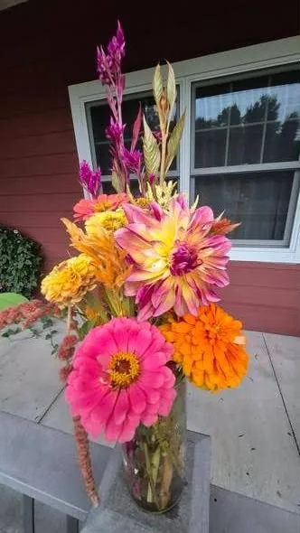 Dahlia, celosia and zinnias in a tall arrangement