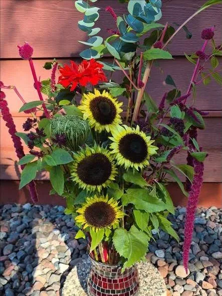 Sunflowers with red dahlia and hanging amaranth in a red mosaic vase