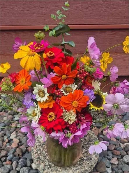Zinnias, cosmos and daisies in a ribbed green vase